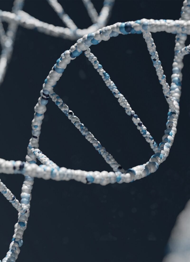 Longevity, its definition, and why you should care now?