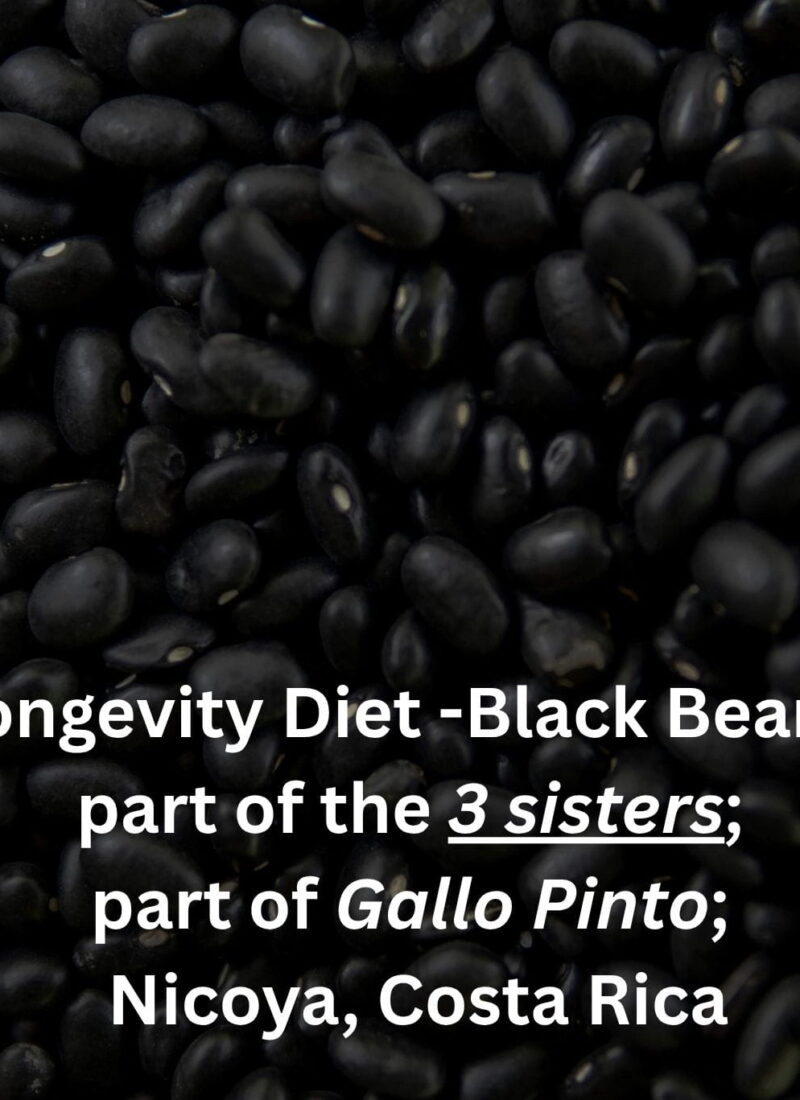 Diets for Longevity –Your Heritage Belongs in the Conversation Too