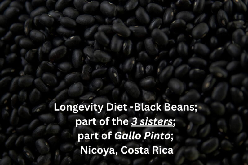 Black beans — a staple longevity food in the Nicoyan Blue Zone diet of Costa Rica